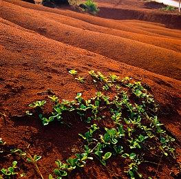 《明末：渊虚之羽》将支持PS5 Pro增强 更流畅更逼真