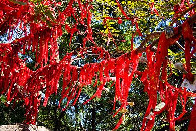 基南汤普森出演Switch广告展示家庭欢乐游戏时刻